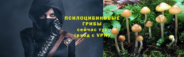 ALPHA PVP Зерноград