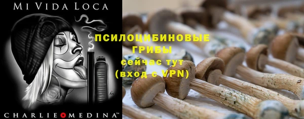 эйфоретик Зеленодольск