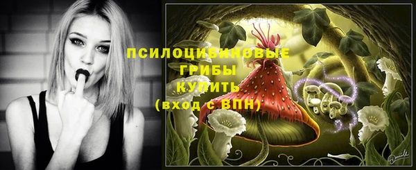 MDMA Premium VHQ Зеленокумск