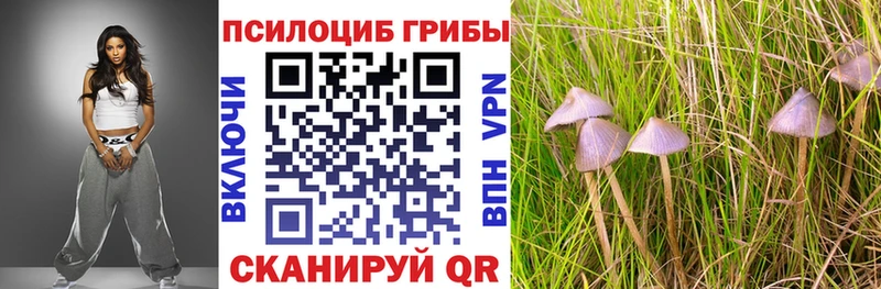 Купить  Ивдель  Псилоцибиновые грибы Magic Shrooms 